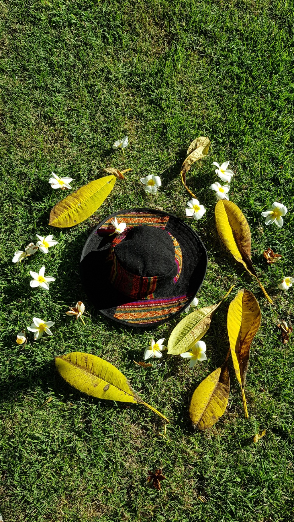 Chapéu de Aguayo